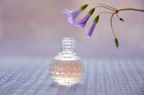 Quels sont les divers critères pour choisir la parfumerie idéale ?