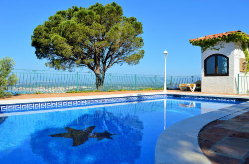 Quel arbre ne pas planter près d’une piscine