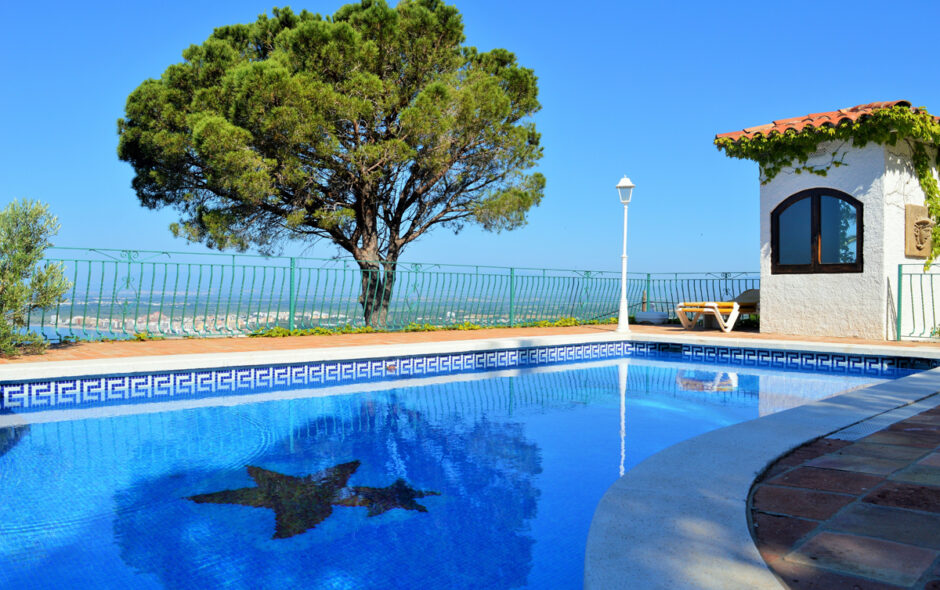 arbre ne pas planter près d_une piscine