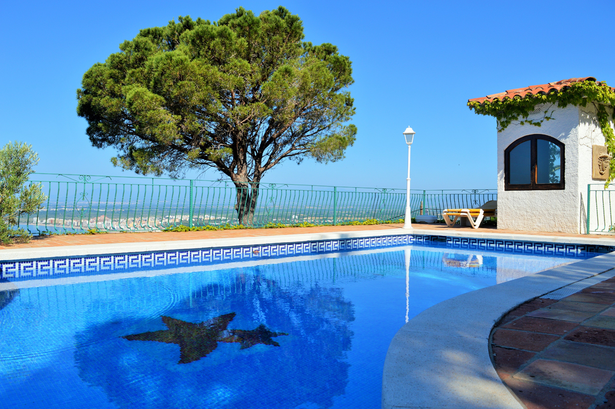 arbre ne pas planter près d_une piscine