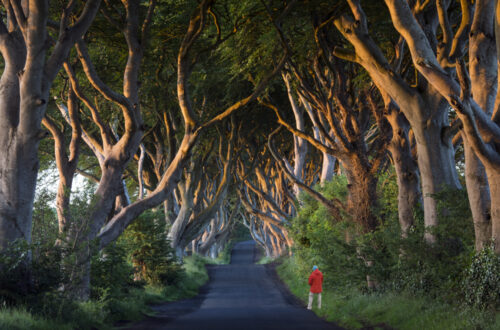 en irlande