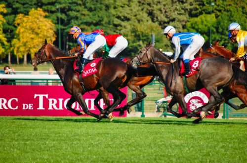 Les hippodromes de prestige : quand le luxe rencontre la passion des courses et paris