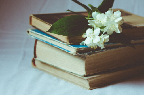 livre ancien