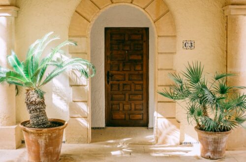 Pourquoi choisir des plantes d’extérieur de grande taille pour son jardin