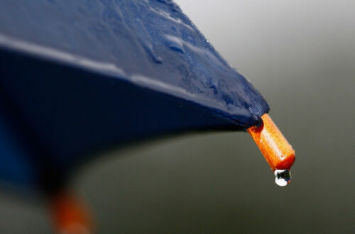 Pourquoi faire le choix des parapluies haut de gamme ?