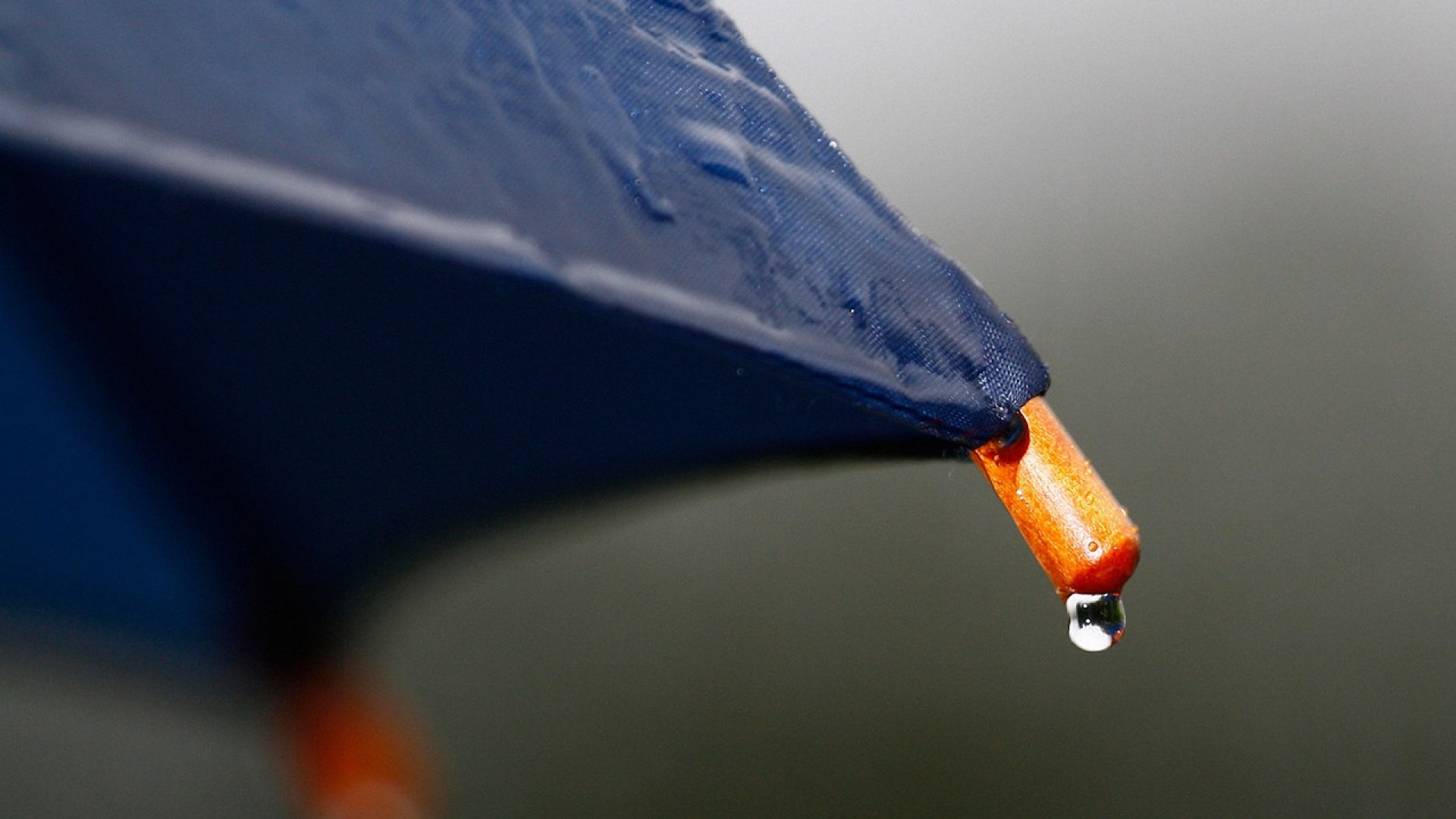 Pourquoi faire le choix des parapluies haut de gamme ?