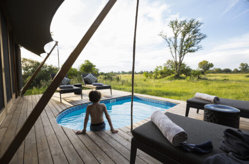 Top 5 des safaris ultra-luxueux en Afrique du Sud