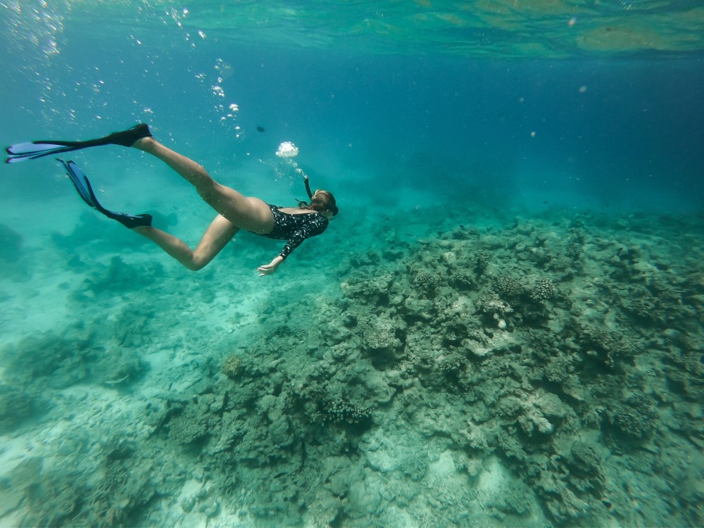 spots de snorkeling au monde