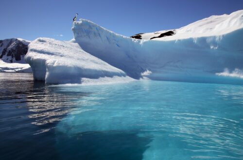 Top 5 des croisières pour des vacances de luxe inoubliables en Antarctique