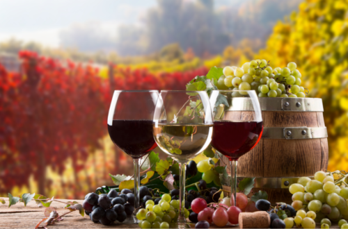 Pourquoi choisir le vin Grande Expression du domaine Gentile ?