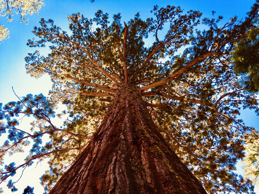 yosemite